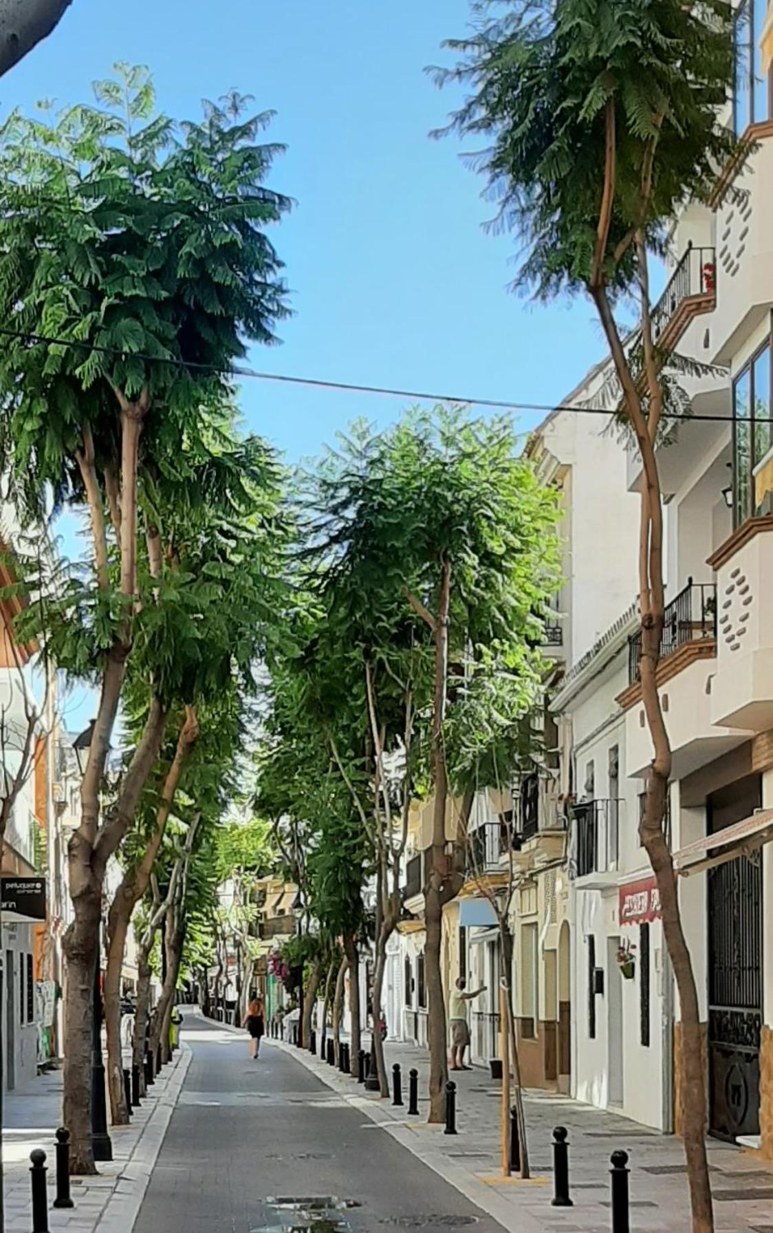 Apartment Las Salinas Boliches Fuengirola Dış mekan fotoğraf